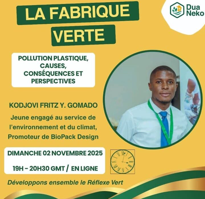 Formation sur la gestion des déchets solides en ligne , une initiative de DUA NEKO.